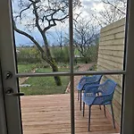 Apple Blossom - 