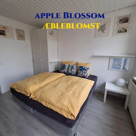 Apple Blossom - Near And 伦讷