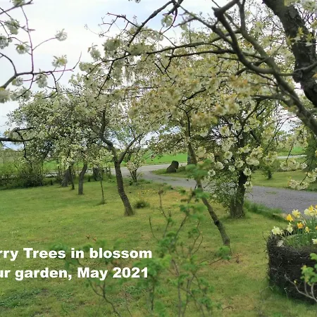 アパート Apple Blossom - 