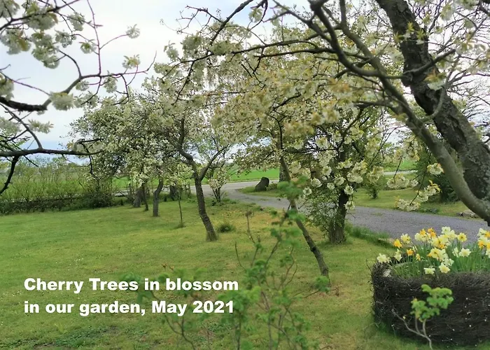 Апартаменты Apple Blossom - 