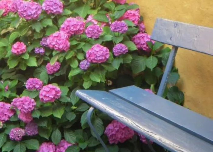 Апартаменты Apple Blossom - 